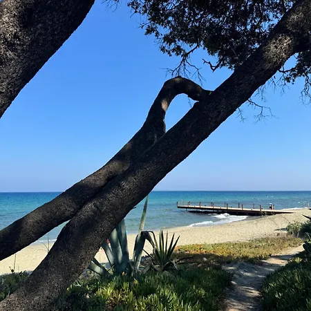 Vakantiehuis Mini Piscine Et Cervione
