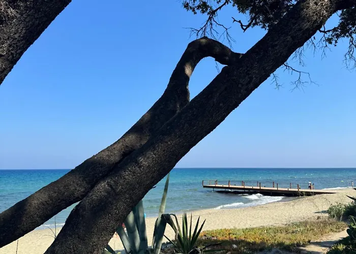 Tatil Evi Mini Piscine Et Cervione